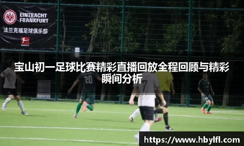 im电竞在线